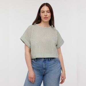 Madewell Dolman Crop Top Stripe Shirt Pistachio Green Brown Ivory Cropped Small